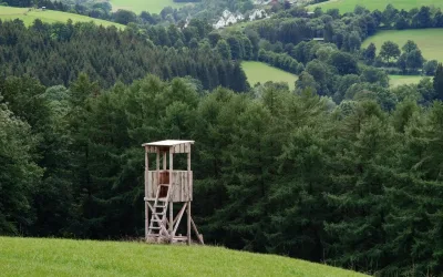 Caçadores e a Preservação da Natureza: Importância Essencial